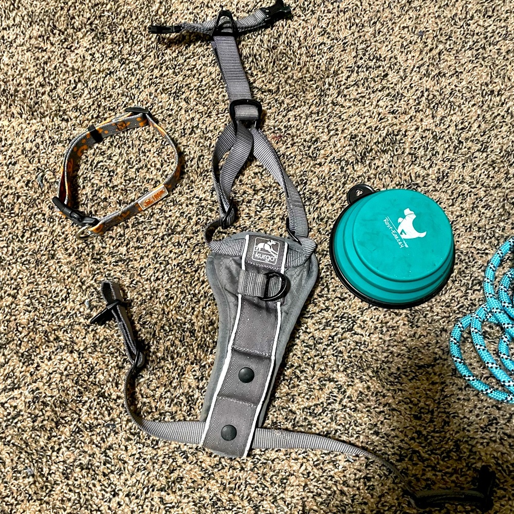 Small dog / puppy gear: collar, Kurgo harness, long leash